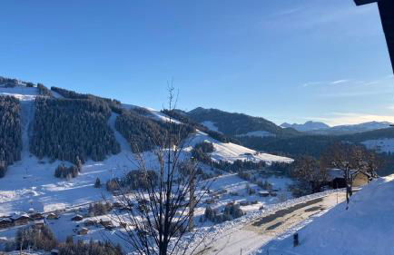 Demi Chalet Le LACHAT - Photo 37