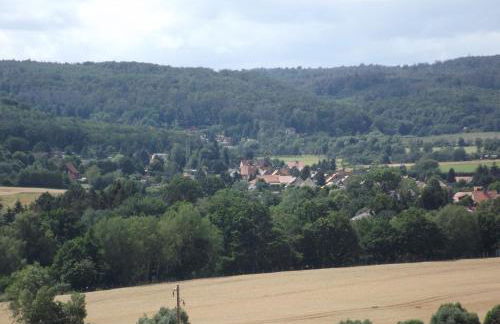 Harzhaus Fewo Gartenblick - Foto 7