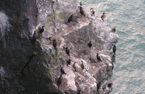 Pen Llyn Quarryman's Cottage - Foto 7