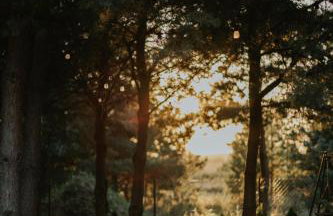 Sosnowe Domki - Photo 59