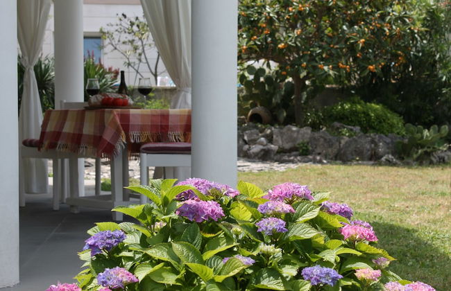 Villa Mandolina Apartments - Foto 26