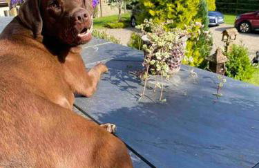 Quarry House - Foto 49