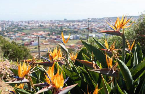 Live La Laguna Casita Vieja - Foto 24