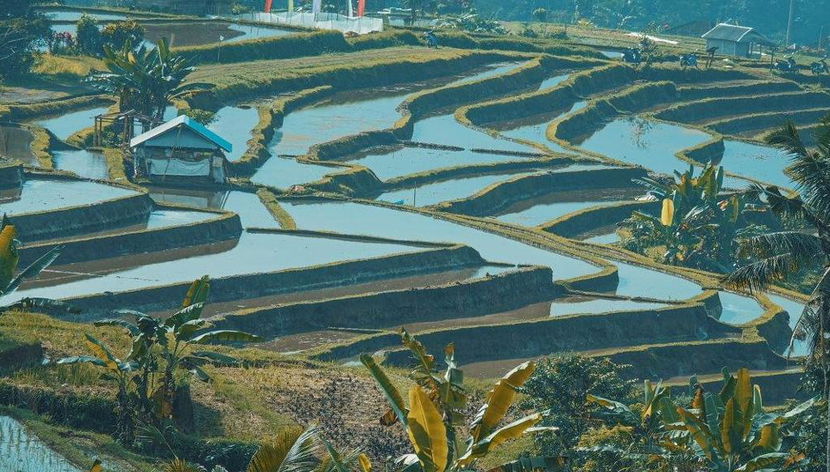 Aluguel de Carro Volkswagen com Motorista - Dia Inteiro em Bali - Foto 2