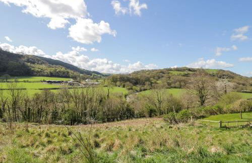 Fron Goch Farm - Photo 75