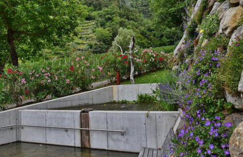 Residence Blumenthalerhof - Foto 11