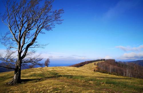 Hvile, gmina Brenna - BESKIDY - Foto 33