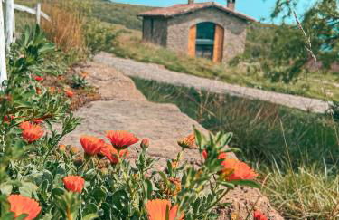 La casa de la masia - La Pallissa - Foto 21