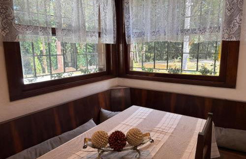 Natureza Instagrmável Casa Penedo - Photo 14