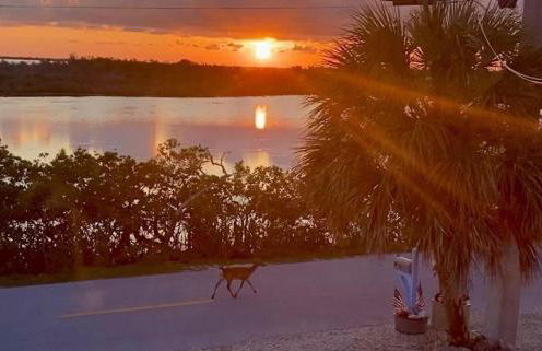 Reel Paradise - Foto 36