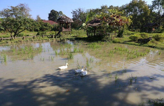 HangTueng Farmstay Chiang Mai - Foto 44