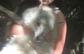 Agriturismo LaValleggia - Foto 144