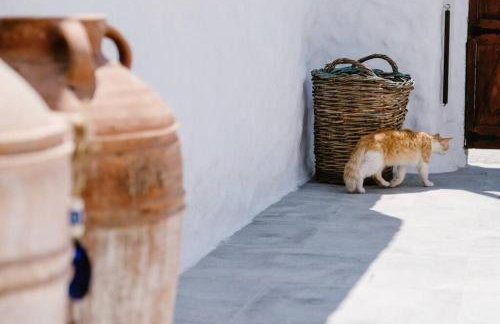 1919's House - Foto 9