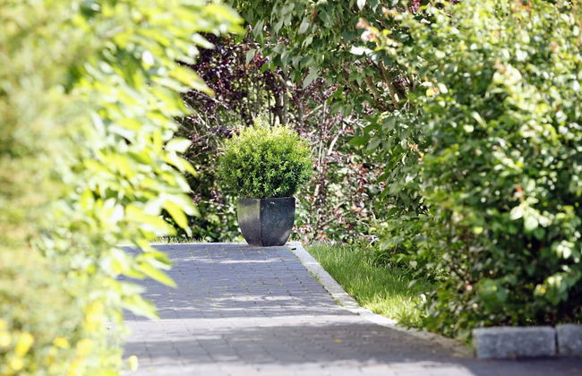 Ferienresort am Mattenweg - Foto 46