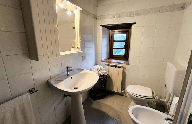 Farmhouse in Tuscany With Olive Grove Views - Foto 6