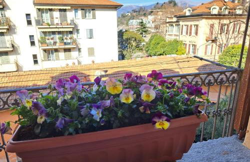 La casa sul porto - Foto 76