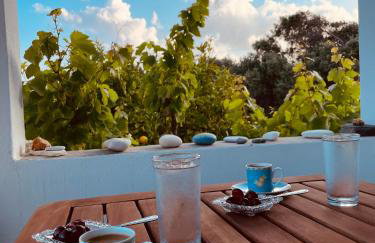 Anevalousa Beach House - Foto 23