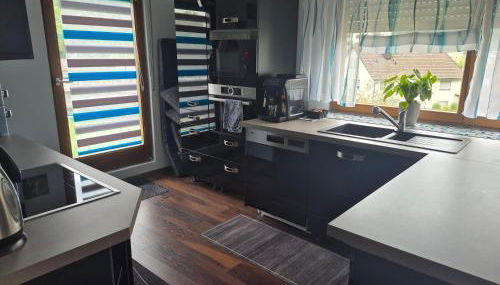 Ferienwohnung Am Schiff in Eberbach - Foto 4, stove, dishwasher