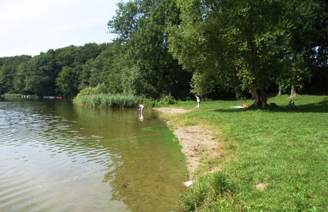 Ferienhaus in Wittendtsrp OT Pogress - Foto 33