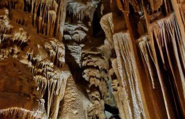 L'Oustalet Des Gorges d'Ardèche Wifi et Canal Plus - Foto 9