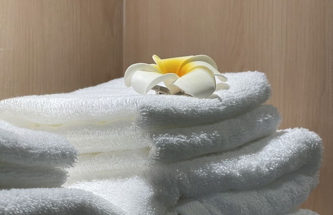 Chinatown Heritage - Photo 10