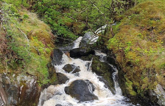 Loch Awe Luxury Eco Cabins - Photo 10