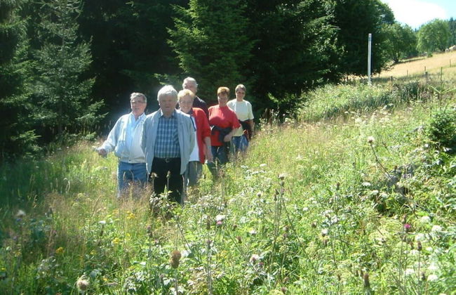 Mitterdorf Modern Retreat - Foto 27