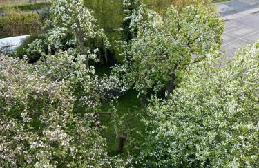 Ferienwohnung Strandläufer - Foto 28