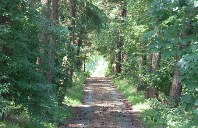 Mansion in Nijensleek With Sauna & Garden - Foto 41