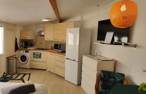 Petite étoile de Mer - Studio hyper équipé à 150m d'une plage de sable fin grande terrasse presqu'île de charme - Photo 8