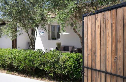 PIERINA HOUSE (by the Tsilivi beach) - Photo 14