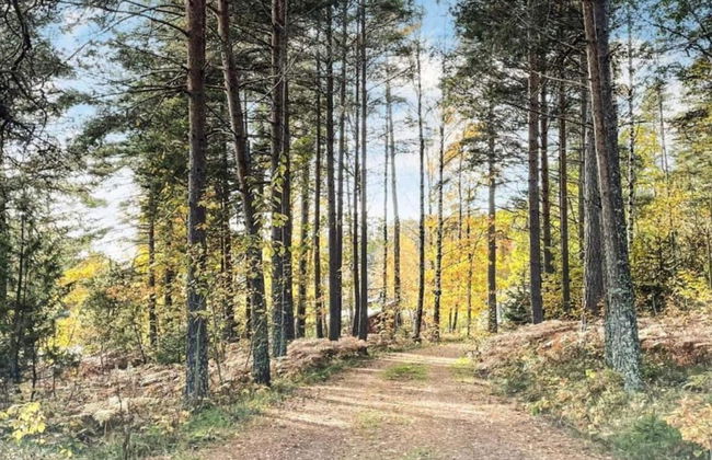 4 Person Holiday Home in Ulfborg-by Traum - Photo 12