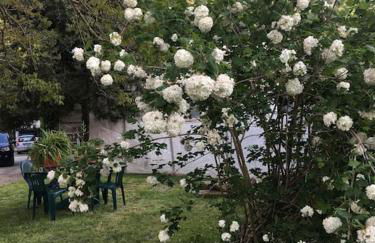 Welcome in Toscana - Foto 8