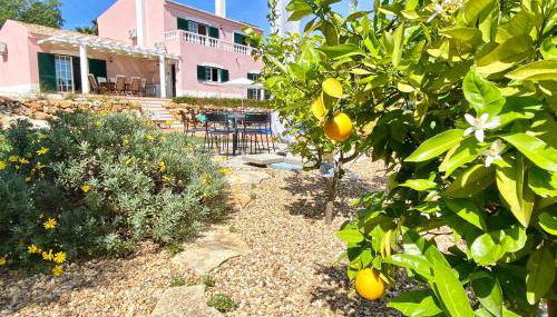 Casa Rosa - Foto 4, Garden, Garden view