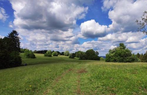 Apfelkiste - Foto 25