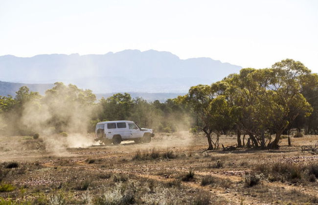 Rawnsley Park Station - Foto 24