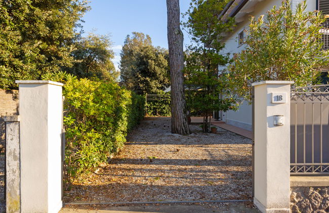 Michelangelo I - Foto 13