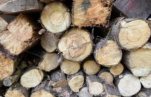 Home from Home in Barcombe East Sussex - Photo 23