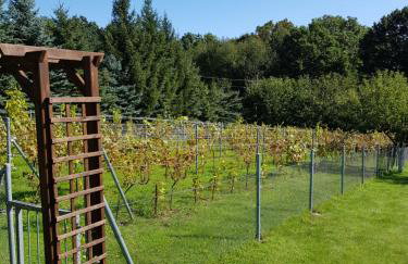 Agroturystyka u Kasi - Foto 27