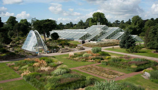 Entrada al Palacio de Kew y Real Jardín Botánico - Foto 2, Vistas del Real Jardín Botánico de Kew