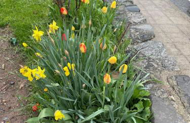 Casita Bonita - Foto 38