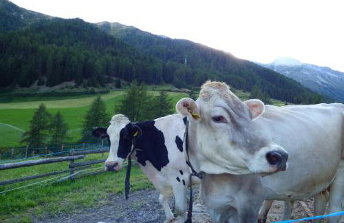 Sesvennahof - Foto 51