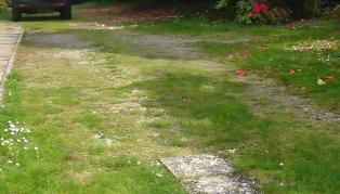 Villa con parco e piscina-Camaiore - Foto 4