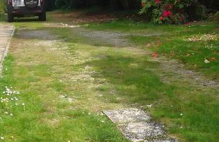 Villa con parco e piscina-Camaiore - Foto 4