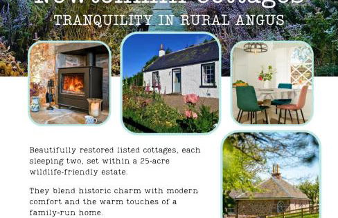 Newtonmill - Tranquillity in Rural Angus - Photo 38