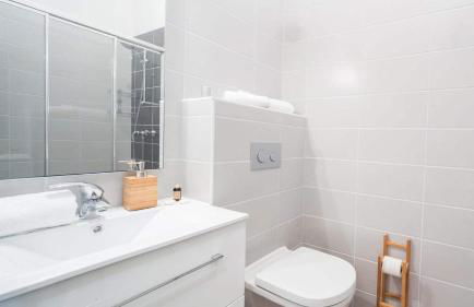 Les 4 Elements - Apt B302 - BO Immobilier - remises sur les forfaits de skis Châtel ou Portes du soleil - Photo 9