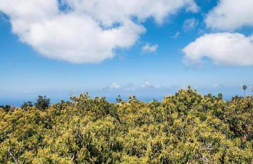 Holiday Home in Tenerife with Private Garden - Foto 9