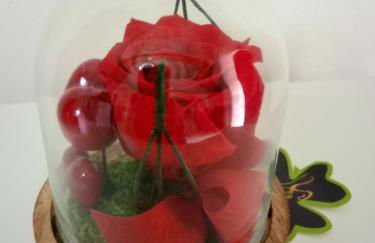 Luxueux Studio à Ambrières-les-Vallées - 85 m² avec Jacuzzi - Foto 13