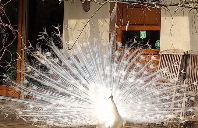 Campo di Cielo - Foto 1