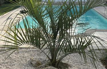 Une pause quelque part ... - Photo 14